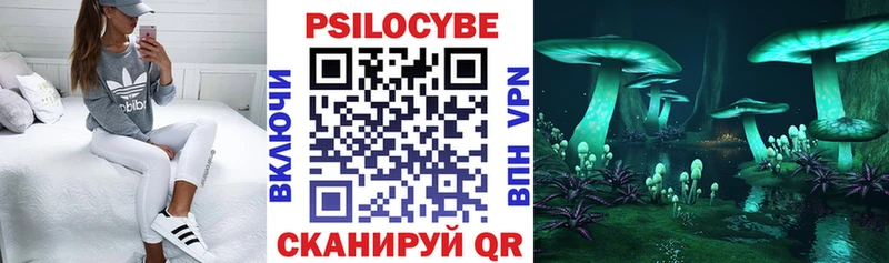 МЕГА сайт  Нестеров  Галлюциногенные грибы прущие грибы  где продают наркотики 